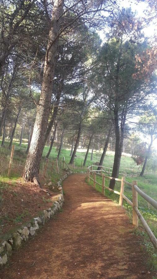 El Duende Del Tejar Hotel El Gastor Kültér fotó